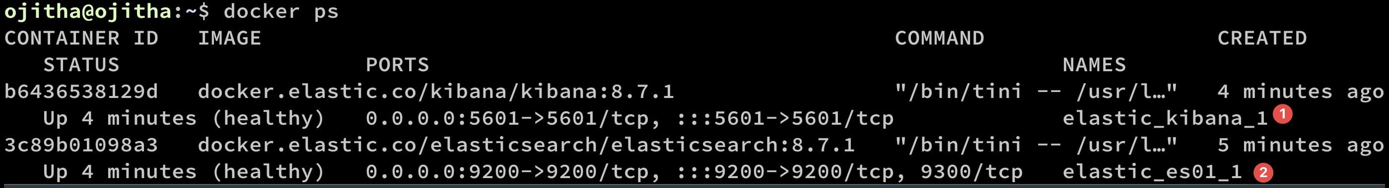 Find Elasticsearch container name